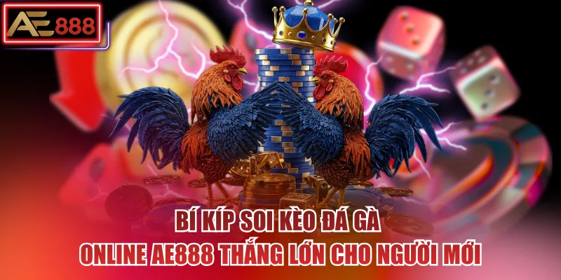 Bí kíp soi kèo đá gà online AE888 thắng lớn cho người mới