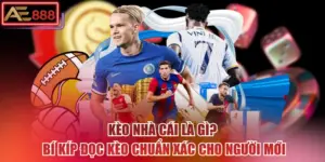 Kèo Nhà Cái Là Gì? Bí Kíp Đọc Kèo Chuẩn Xác Cho Người Mới